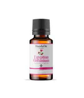 Egyptian Geranium