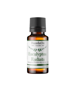 Eucalyptus-radiata